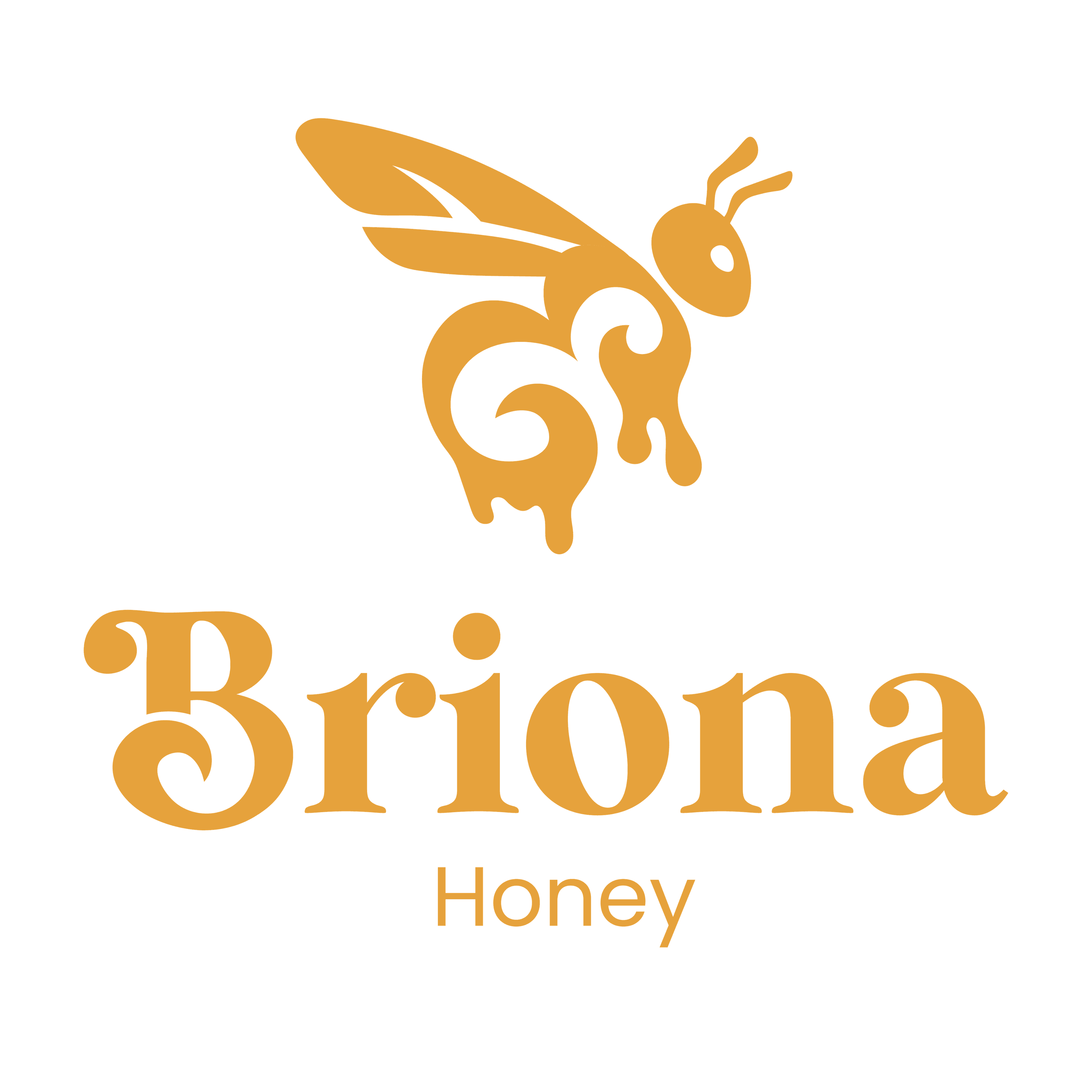 Briona Honey logo wordmark