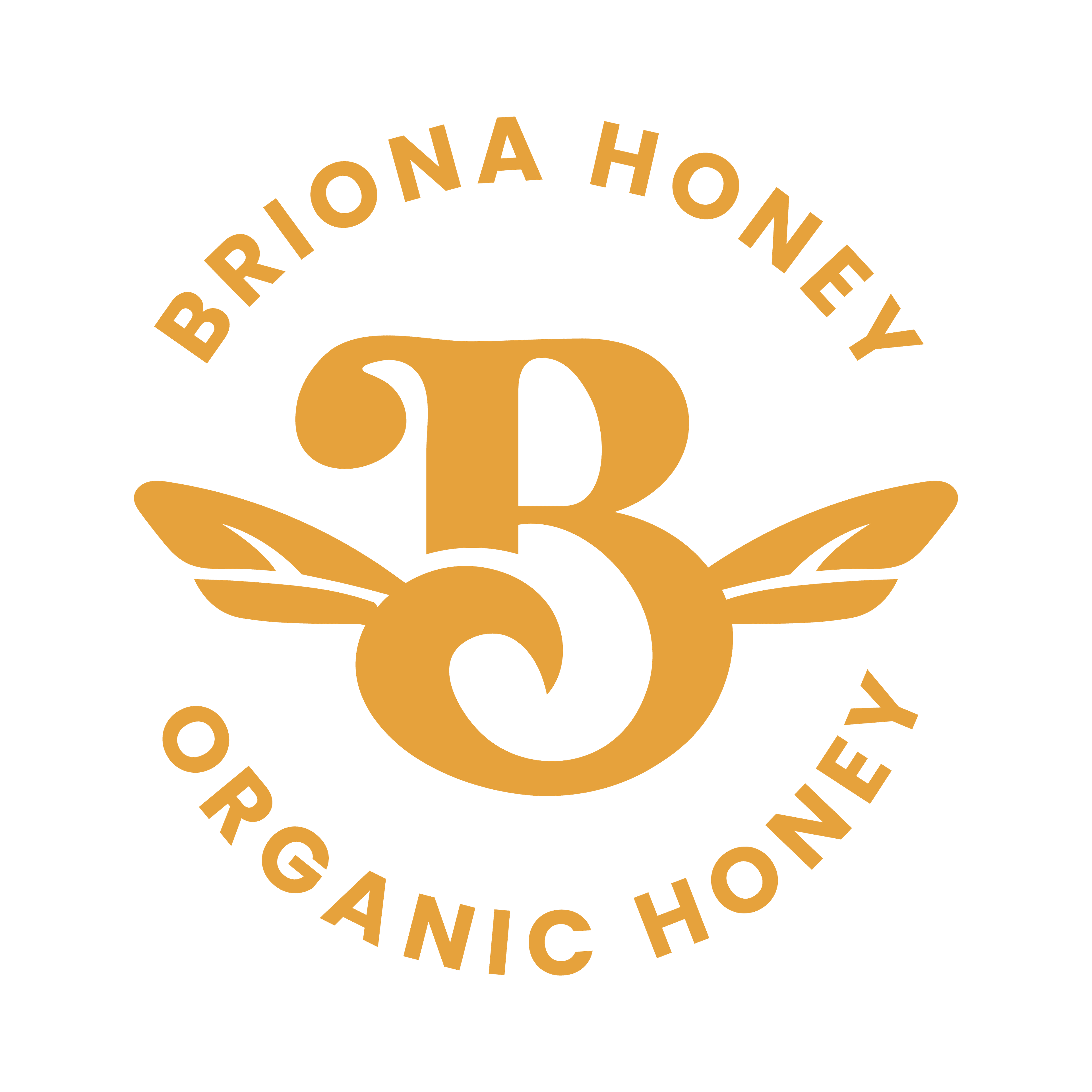 Briona Honey seal